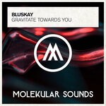 cover: Bluskay - Gravitate Towards You