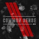 cover: Dutek - Common Sense