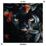 cover: Dj Iaia - Insomnia