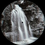 cover: Fernie - Signs Of Life