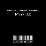 cover: Phasedeep - Kwanele