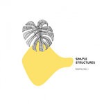 cover: Mizzy Thecosmic - Simple Structures