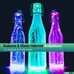 cover: Kobana|Mario Hatchet - Antidotum