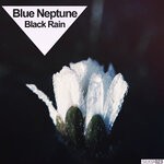 cover: Blue Neptune - Black Rain