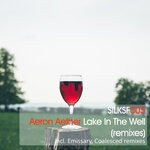 cover: Aeron Aether - Lake In The Well