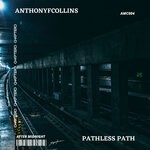 cover: Anthonyfcollins - Pathless Path