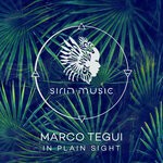 cover: Marco Tegui - In Plain Sight