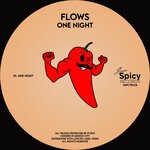 cover: Flows - One Night (Original Mix)