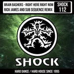 cover: Brain Bashers - Right Here Right Now (Rick James & Sub Sequence Remix)