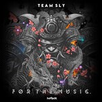 cover: Team Sly - For The Music