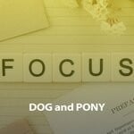 cover: Dog & Pony - Focus