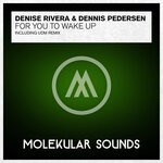 cover: Denise Rivera|Dennis Pedersen - For You To Wake Up