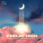 cover: Different Stage|Am|Dee:vision - Feelin' High