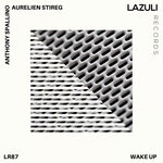 cover: Anthony Spallino|Aurelien Stireg - Wake Up