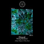 cover: Drucal - Wrong Decisions