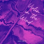 cover: Andy Mate - Violins In The Wind