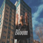 cover: The High Breed - Bloom