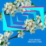 cover: Cellos Specialist - Tribal Beats & Tools