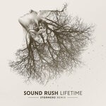 cover: Sound Rush - Lifetime (Stormerz Extended Remix)