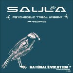 cover: Saula - Psy Tribal Chill