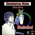 cover: Slva Stne - Dem Badmind