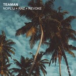 cover: Teaman - Nopliu