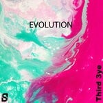 cover: Third 3ye - Evolution