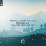 cover: Sultan + Shepard|VASSY - Somebody New