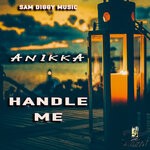 cover: Sam Diggy|Anikka - Handle Me