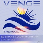 cover: Dj Erika|Vladimir Lebedev - Starry Sky