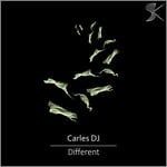 cover: Carles Dj - Different