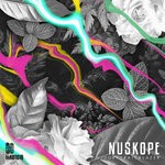 cover: Nuskope - Vigor