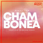 cover: Jcastillo - Chambonea (Explicit Mix)