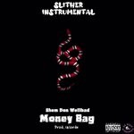 cover: Shem Don Wellbad - Money Bag