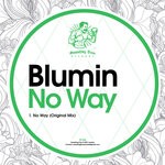 cover: Blumin - No Way