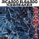 cover: Ricardo Elgardo - Icebreaker