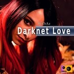 cover: Bizbaz - Darknet Love