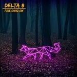 cover: Delta 8 - Fire Shadow (Original Mix)