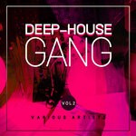 cover: Various - Deep-House Gang Vol 2