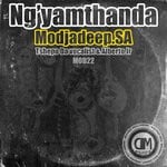 cover: Alberto Jr|Modjadeepsa|Tshepo Da Vocalist - Ng'yamthanda