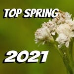 cover: Various - Top Spring 2021