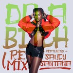 cover: Kaliii|Saucy Santana - Do A Bitch (Remix)