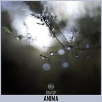 cover: Graysp - Anima