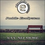 cover: Puddle Ecosystem - Say No More