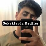 cover: Turkish Music Factory & Elijan - Sokaklarda Kediler