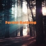 cover: Cordelia Growl - Forest Bathing