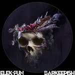 cover: Elek-fun - Barkeepish