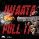 cover: Zimi|Iwaata - Pull It