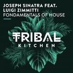 cover: Joseph Sinatra|Luigi Zimmitti - Fondamentals Of House