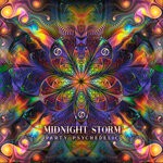 cover: Midnight Storm - Party Psychedelic (Explicit)